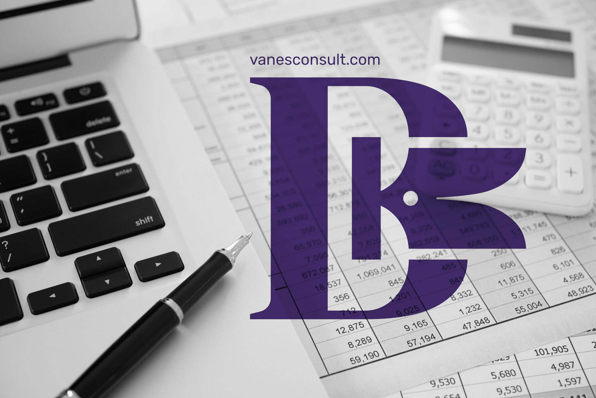 Development of a dynamic and responsive website for professional services