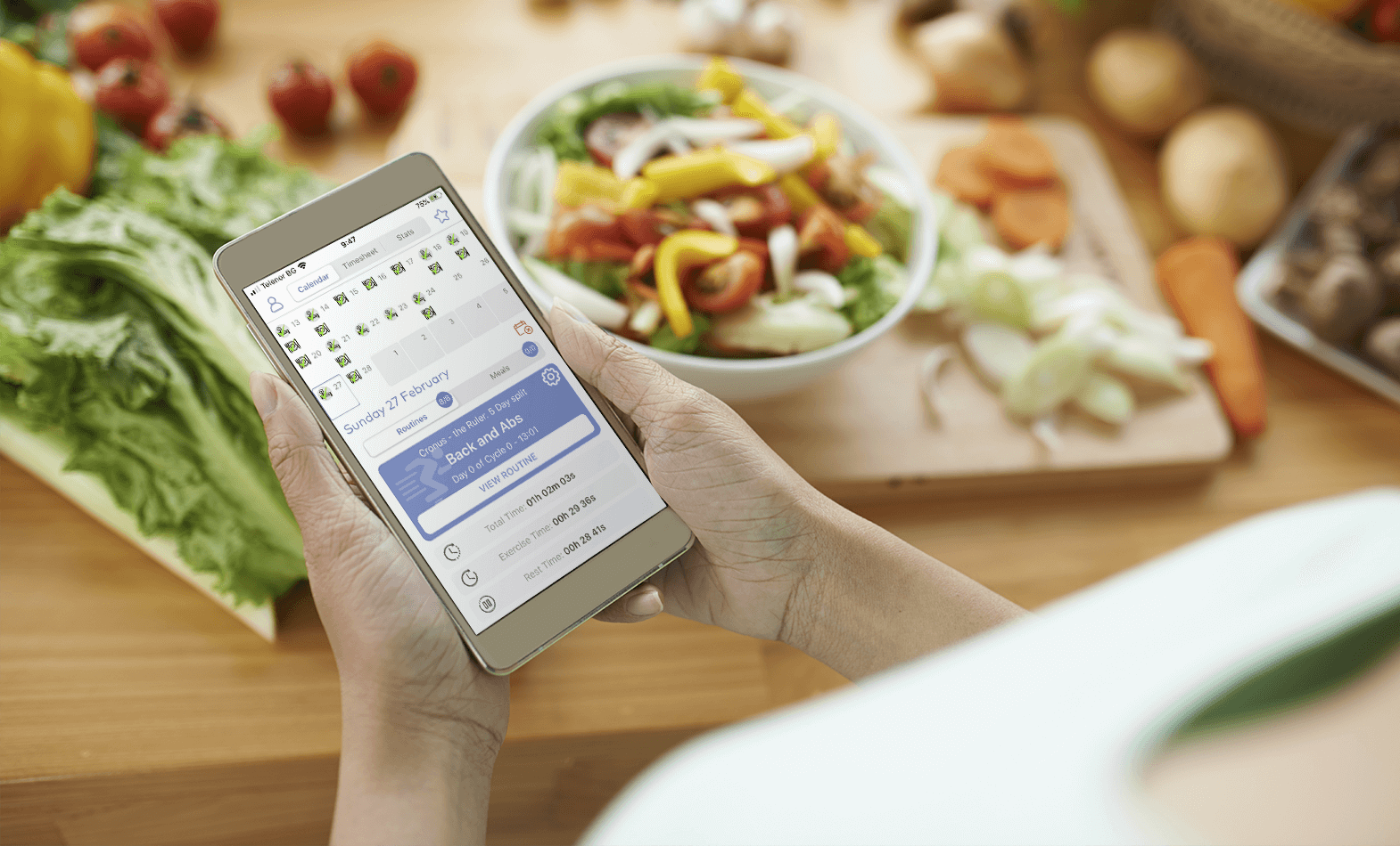 wollow project Fitness and diet mobile application